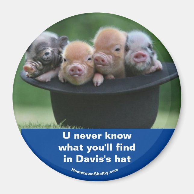 Davis's hat magnet (Front)