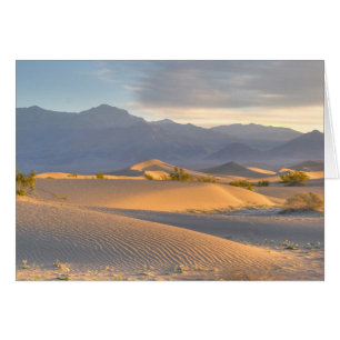 Dawn du désert