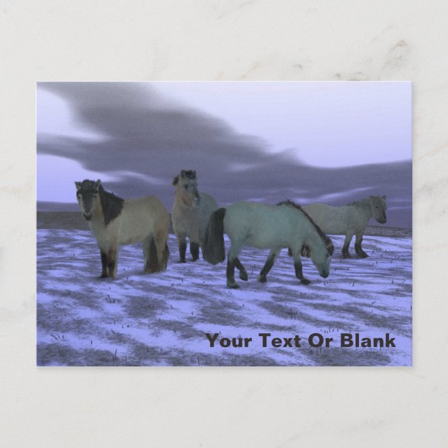 Dawn Horse Postcard (Front)