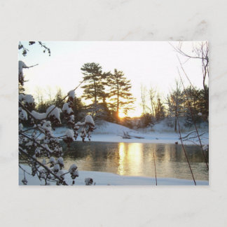 Dawn Reflection Postcard