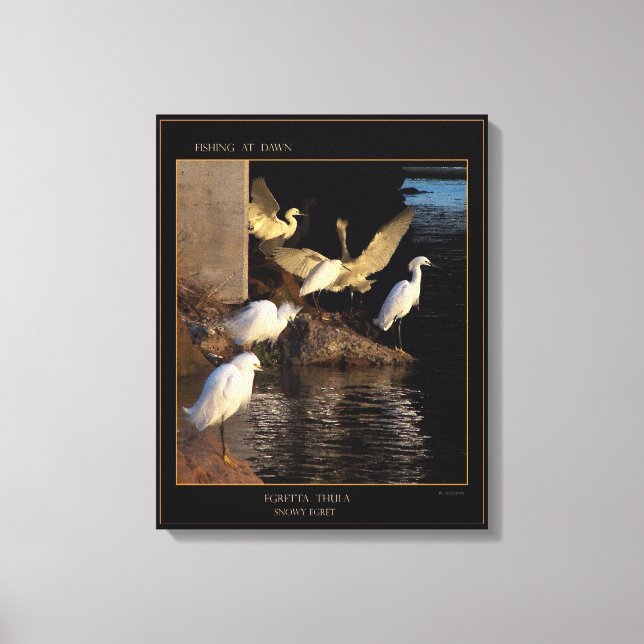 Dawn Snowy Egrets Wrapped Canvas (Front)