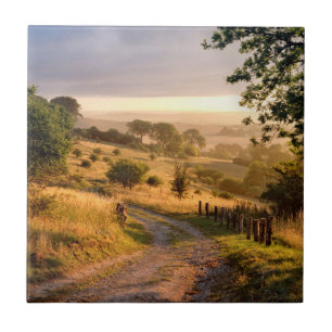 Dawn Sunshine   English Countryside Tile