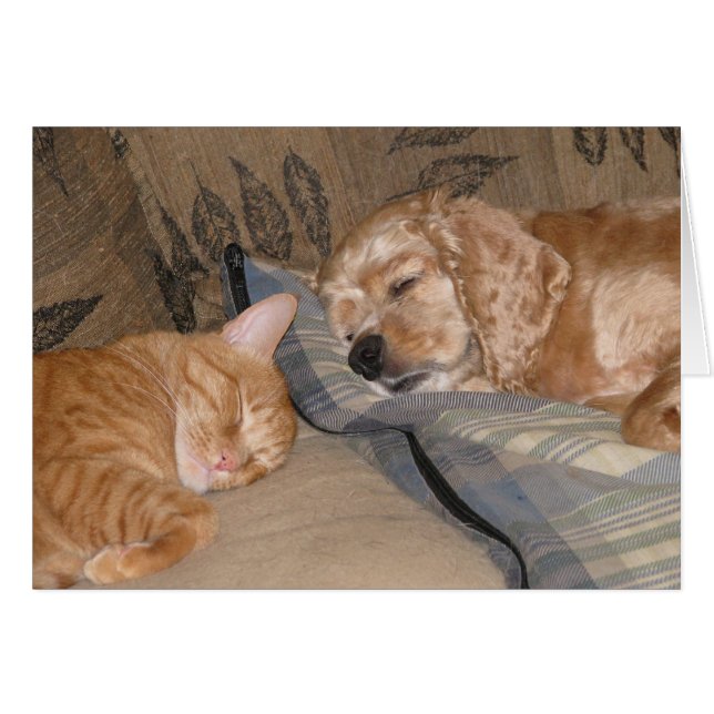 Dax and Chance Share (Front Horizontal)