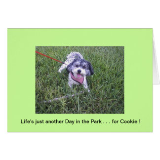 Day in the Park