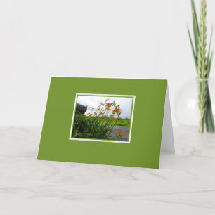 Day Lilies & Mailbox Blank Card