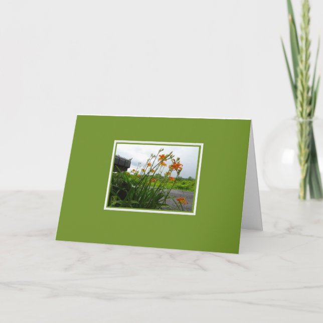Day Lilies & Mailbox Blank Card (Front)