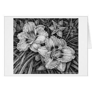 Day Lilies Pen and Ink Drawing Card