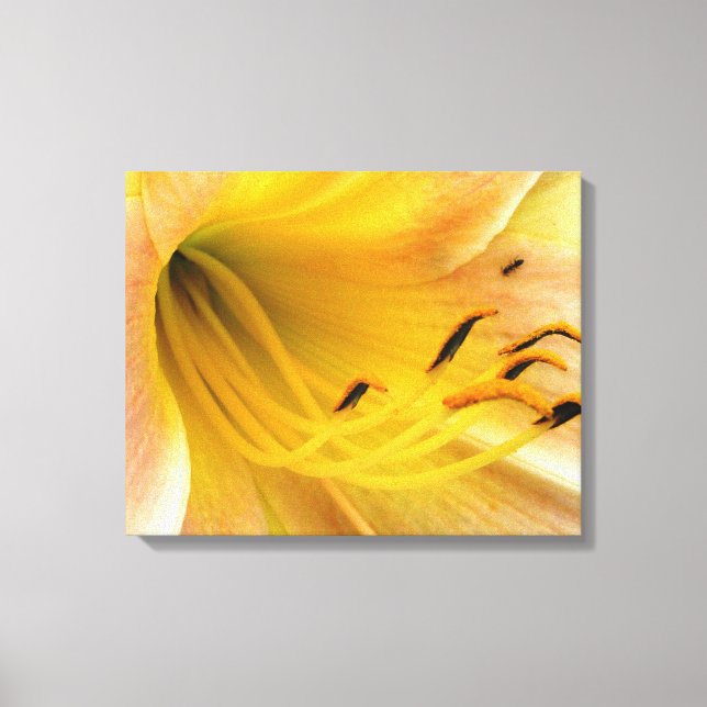 Day lily - canvas (Front)