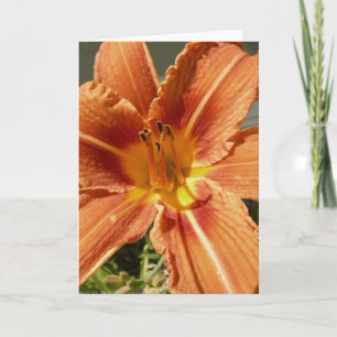 Day lily card