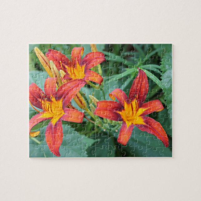 Day Lily Delight Jigsaw Puzzle (Horizontal)