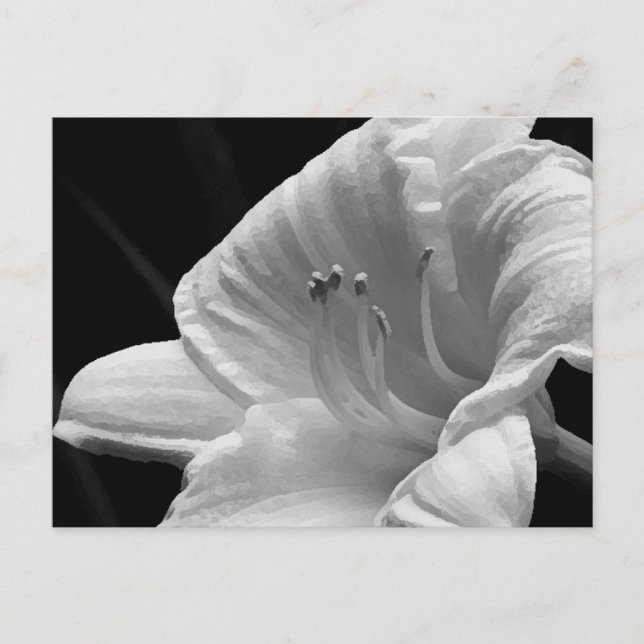 Day Lily Postcard (Front)