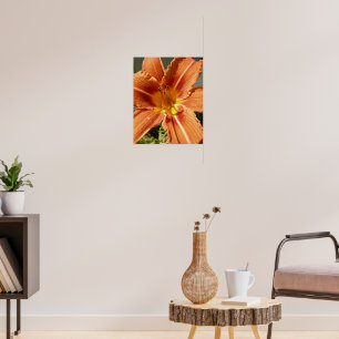 Day lily poster