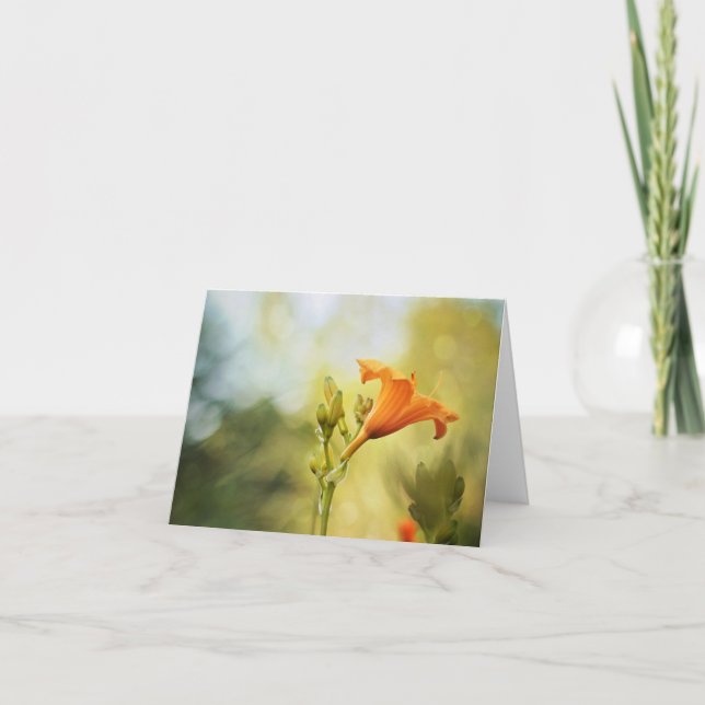 Day Lily Sunrise Note Card (Front)