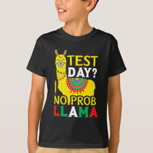 Day No Prob-llama Teacher Teaching Exam Testing T-Shirt