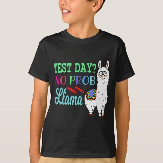 Day No Prob Llama Test Day No Probllama Test Day L T-Shirt (Front)