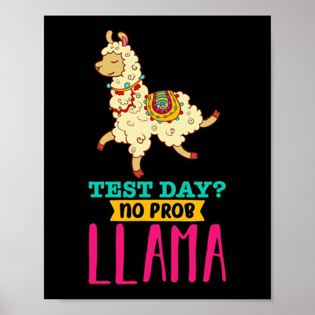Day No Probllama T Shirt Llama Gift School Profess Poster (Front)