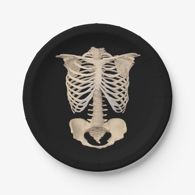 day of the dead Halloween Party Rib Cage Skeleton Paper Plate (Front)