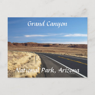 Day Trippin Postcard