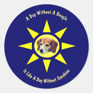 Day Without A Beagle Dog Lovers Classic Round Sticker