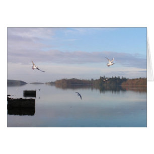 DAYBREAK, DONEGAL BAY