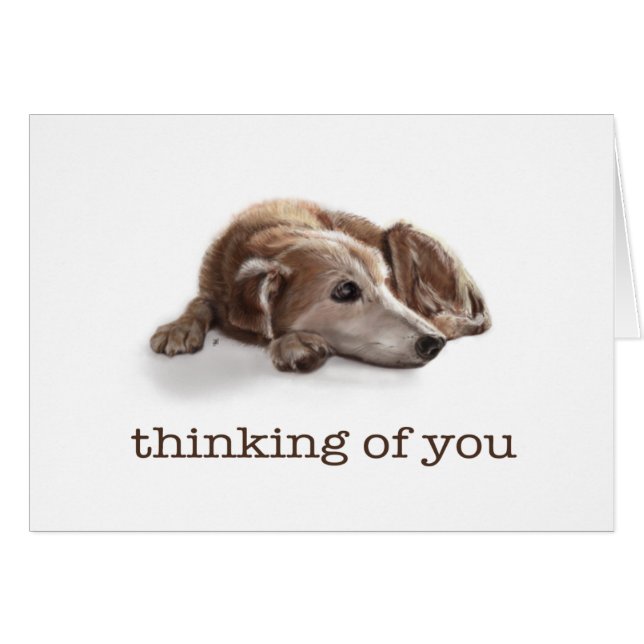 Daydreaming Dog (Front Horizontal)