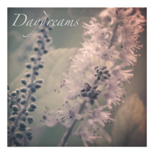 Daydreams Mountain Holly Photo Print