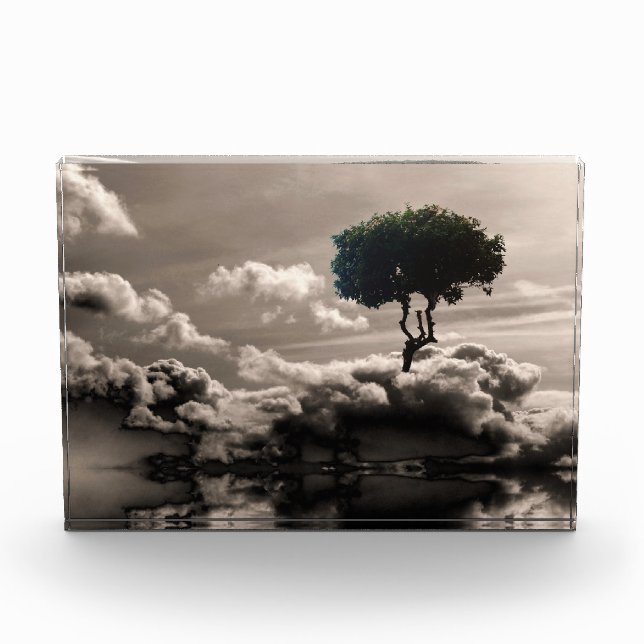 Daydreams Photo Block (Front)