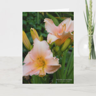 Daylilies / Cream With Pastel Pink Blush / Card