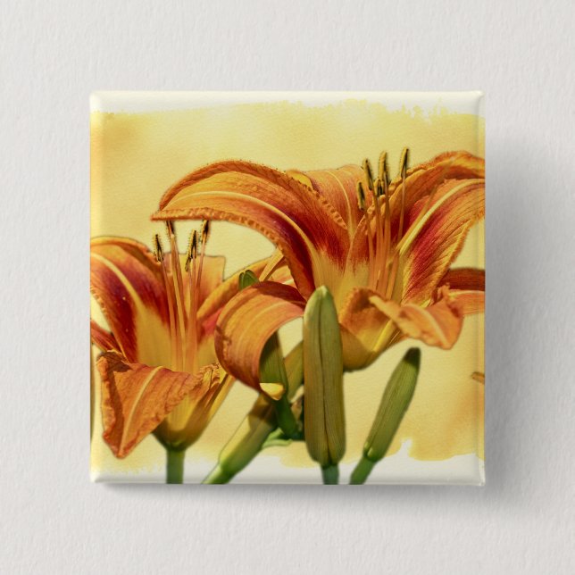 Daylilies - Hemerocallis 2 Inch Square Button (Front)