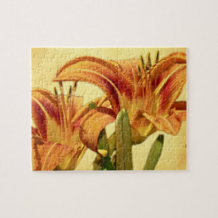 Daylilies - Hemerocallis Jigsaw Puzzle