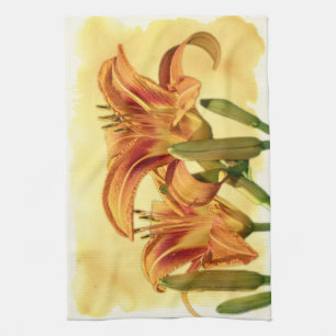 Daylilies - Hemerocallis Kitchen Towel