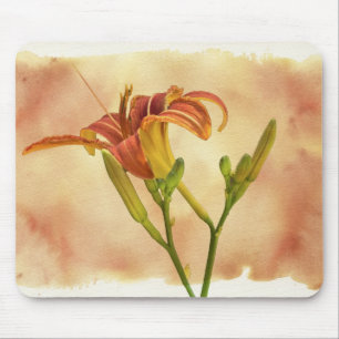 Daylilies - Hemerocallis Mouse Pad