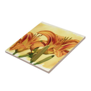 Daylilies - Hemerocallis Tile