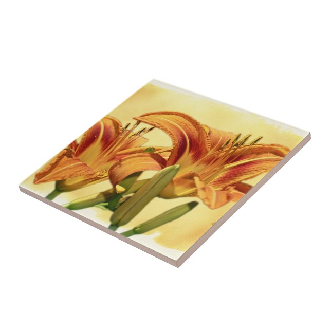 Daylilies - Hemerocallis Tile (Side)
