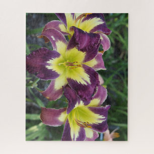 Daylilies Jigsaw Puzzle