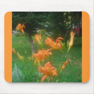 daylillies mouse pad