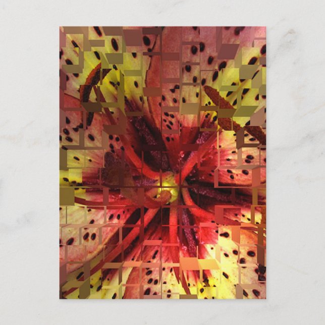 Daylily Abstract 2 Postcard (Front)