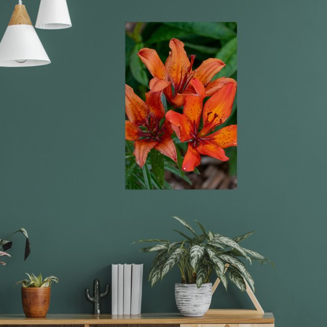Daylily Botanical Print, Canadian Photography Poster (Living Room 1)