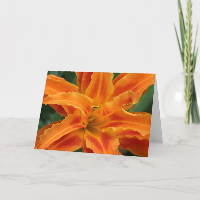 Daylily Card (Front)
