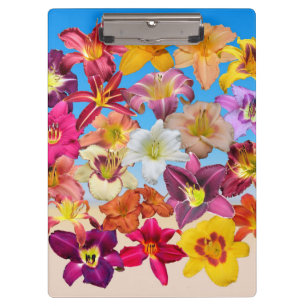 Daylily Collage on Sand and Sky Clipboard