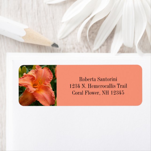 Daylily Flower Blossom / Hemerocallis / Coral (Insitu)