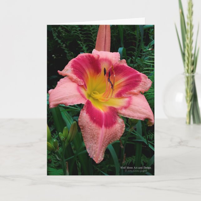 Daylily Flower / Lily / Rosy Pink With Red Eye / Card (Front)