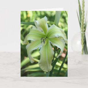 Daylily 'Heaven Waits For Me' Card