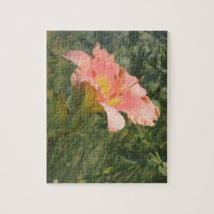 Daylily in the Sun Jigsaw Puzzle