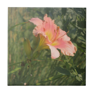 Daylily in the Sun Tile