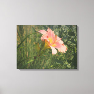 Daylily in the Sun Wrapped Canvas