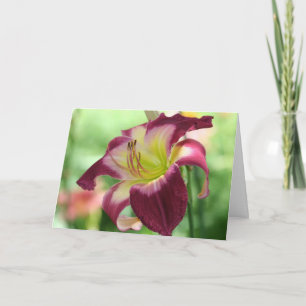 Daylily 'Integrated Logistics' Card