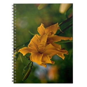 Daylily "Jersey Spider" Notebook