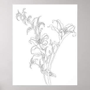 daylily line drawing black and white poster