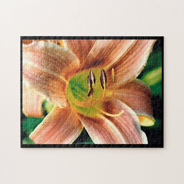 Daylily Macro Jigsaw Puzzle (Horizontal)